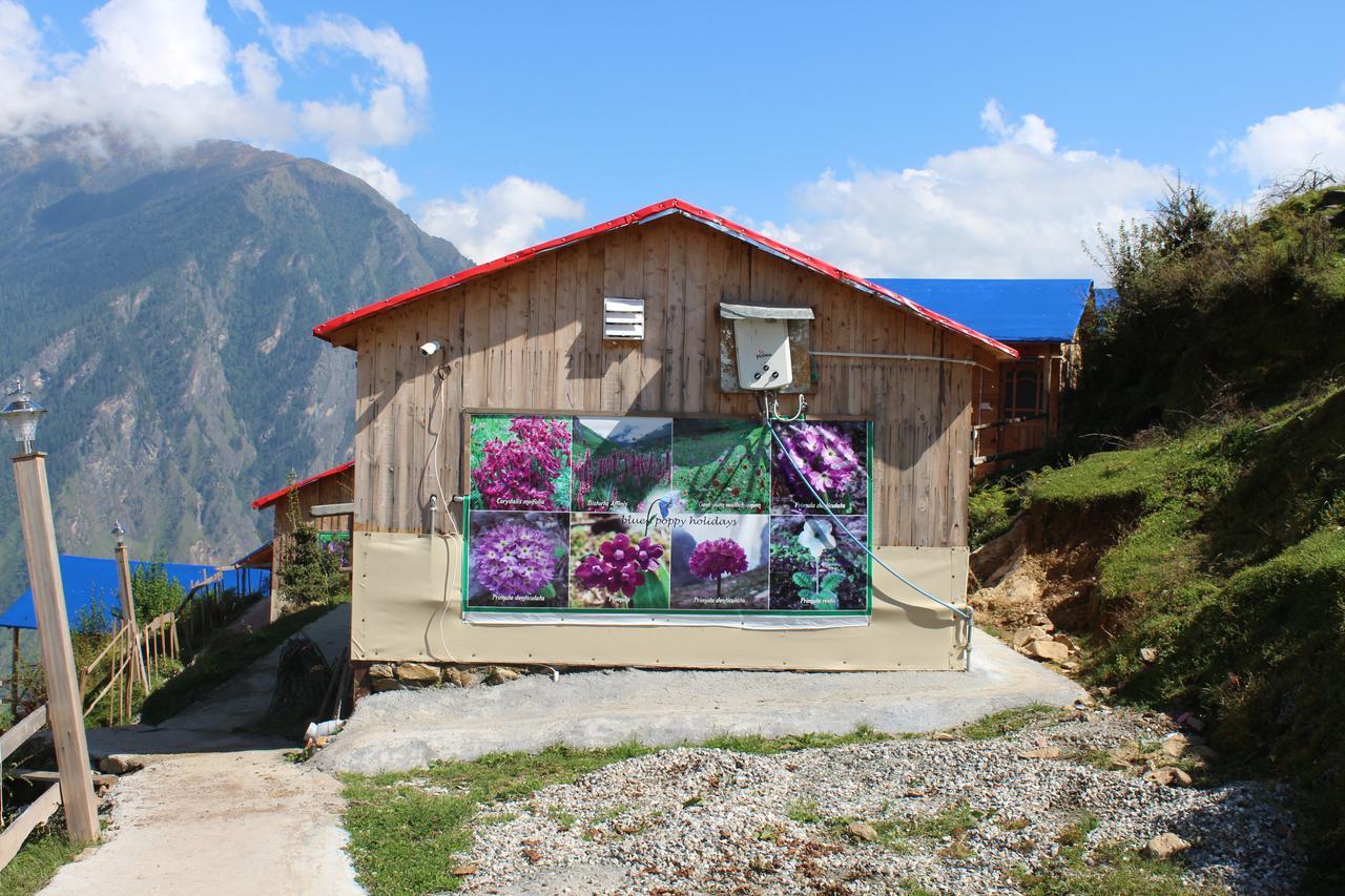 Blue Poppy Resorts Joshimath Exterior photo