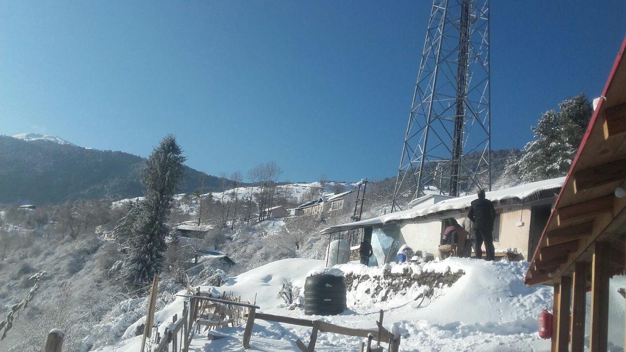 Blue Poppy Resorts Joshimath Exterior photo